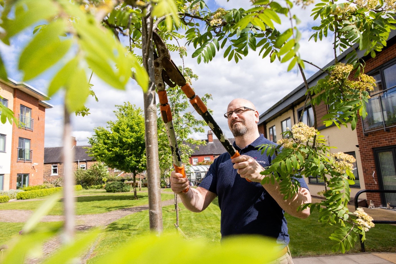 Man with Staffs Housing branded polo shirt pruning a tree
