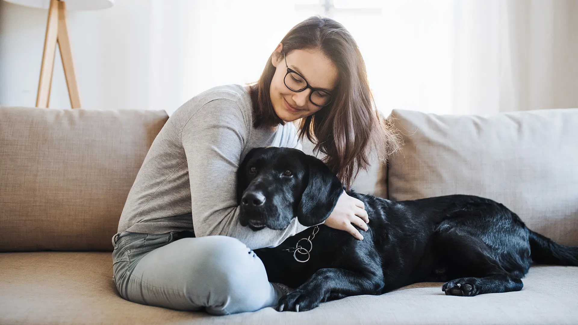 Person With Dog